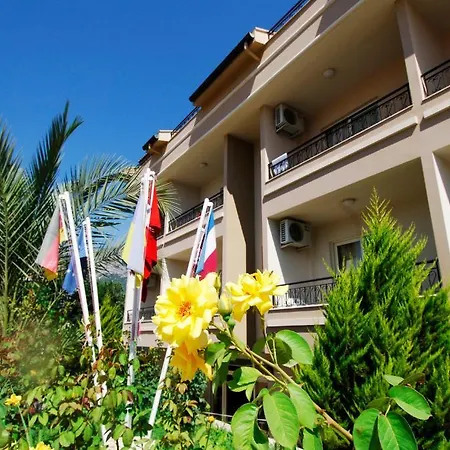 Starberry Hotel 3*