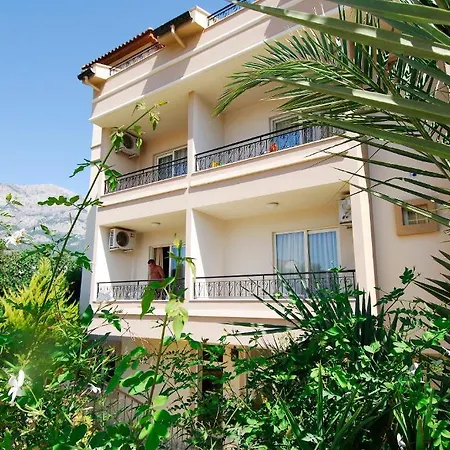 Starberry 3* Kemer